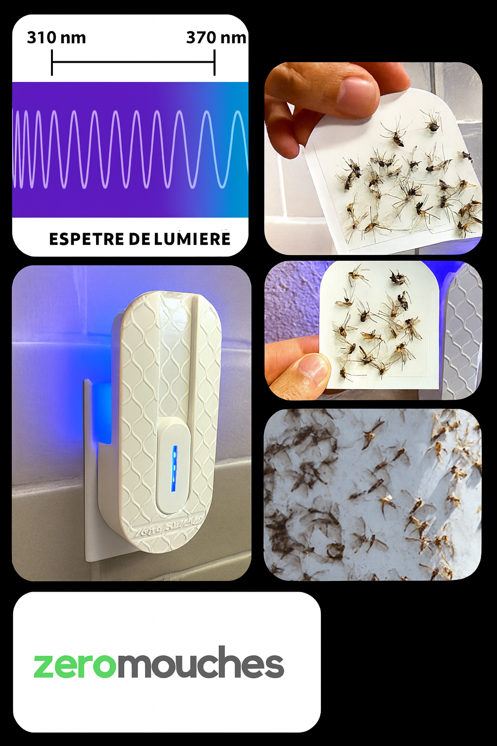 Zero Mouches : lumière UV et tampons capturants (collage)